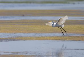 Prepare for Landing.jpg