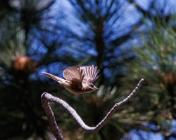 RFIV6154-Enhanced-NR.jpg