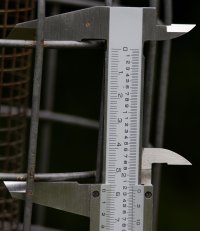 309A5108-DxO_Grid_Height forMigrant_Hawker_Dragonfly.jpg