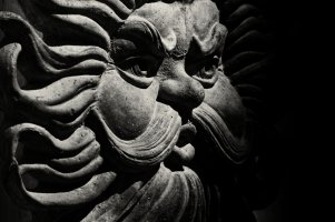 Custom__66A3401_DxO copy.jpg