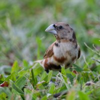 DSC_3787_DxO.jpg DSC_3787_DxO.jpg