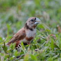 DSC_3807_DxO.jpg DSC_3807_DxO.jpg