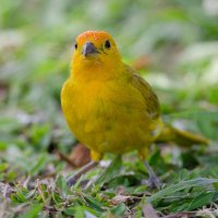 DSC_3842_DxO.jpg DSC_3842_DxO.jpg