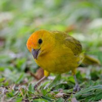 DSC_3849_DxO-1.jpg DSC_3849_DxO-1.jpg