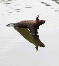 IMG_5755 ps3 fix - Copy.jpg