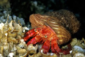 IMG_0166 2.jpg IMG_0166 2.jpg