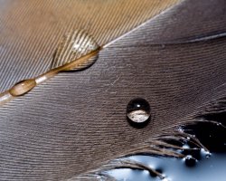 IMG_9451.jpg IMG_9451.jpg