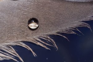 IMG_9455.jpg IMG_9455.jpg