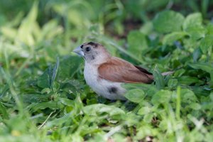 DSC_3930_DxO-1.jpg DSC_3930_DxO-1.jpg