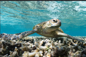 1694387875055.png 1694387875055.png