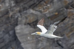 HB 20230808_51A7220_DxO-Bearbeitet.JPG