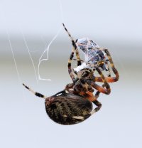 _A7A1340-Enhanced-NR copy.jpeg