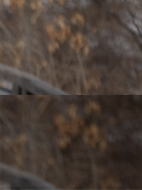 70-200 EF vs RF bokeh.png