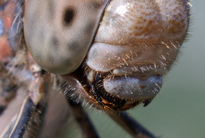 Scherm­afbeelding 2023-10-04 om 13.52.38.png