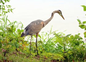 IMG_5754 picasa crop-topaz-denoise-sharpen - Copy.JPG