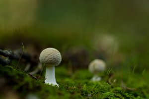 100A0984_DxO_PL7_bs.jpg 100A0984_DxO_PL7_bs.jpg