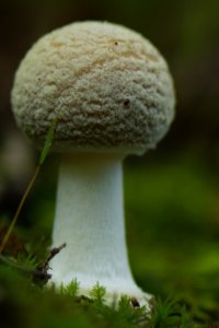 100A0984_DxO_PL7_100%.jpg 100A0984_DxO_PL7_100%.jpg