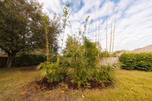 10-20mm first tests (2).jpg