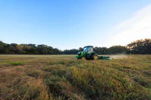 10-20mm tests (2).jpg