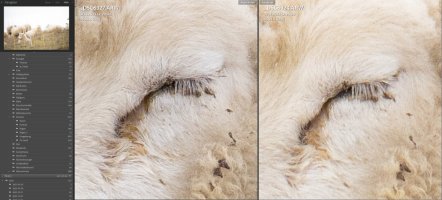 WhatsApp Image 2023-11-07 at 12.43.17.jpeg