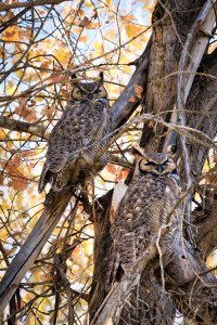 RSEV0367-Enhanced-NR (1)-2.jpg