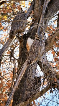 RSEV0350-Enhanced-NR (1)-2.jpg