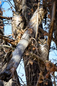 RSEV0371-Enhanced-NR (1).jpg