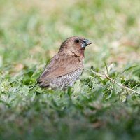 DSC_6811_DxO.jpg