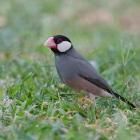 DSC_6776_DxO-1.jpg