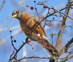 5D3_4652-topaz-sharpen - Copy.JPG