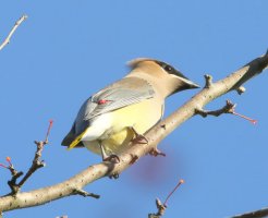 5D3_4324-topaz-enhance-2x - Copy.JPG