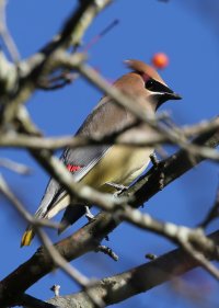 5D3_4311-topaz-enhance-1.9x - Copy.JPG