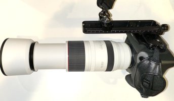 IMG_9321.jpeg IMG_9321.jpeg