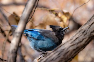 RFIV5518-Enhanced-NR-Edit-2.jpg