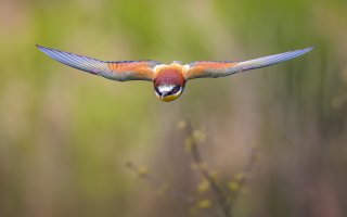 HB 20230502_51A3019_DxO-Bearbeitet.JPG