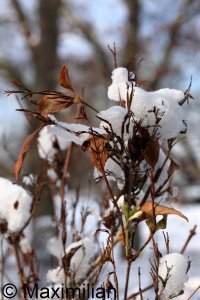 20231130_0001.JPG 20231130_0001.JPG