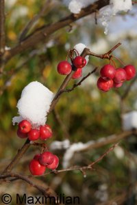 20231130_0005.JPG 20231130_0005.JPG