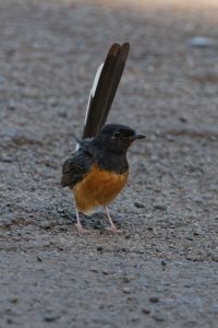 DSC_7676_DxO.jpg