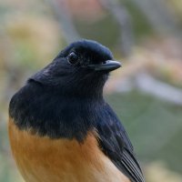 DSC_6460_DxO-1.jpg