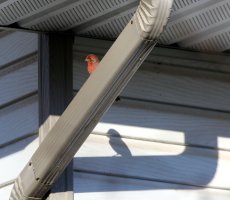 5D3_5143 picasa fix - Copy.JPG