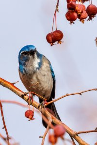 RFIV1708-Enhanced-NR (1).jpg