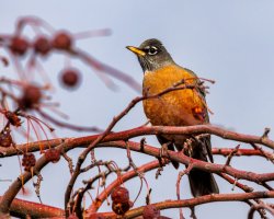 RFIV1724-Enhanced-NR (1).jpg