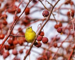 RFIV1735-Enhanced-NR (1).jpg