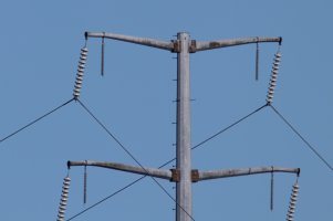 IMG_1795-Edit.jpg IMG_1795-Edit.jpg