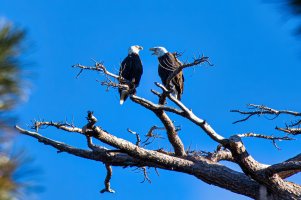 4M0A1051-Enhanced-NR (2).jpg