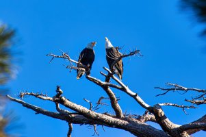 4M0A1057-Enhanced-NR (2).jpg