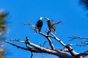 4M0A1062-Enhanced-NR (2).jpg