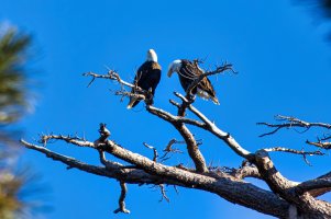 4M0A1064-Enhanced-NR (2).jpg