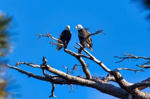 4M0A1067-Enhanced-NR (2).jpg