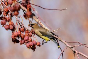 EOS R7_1512-Enhanced-NR.jpg